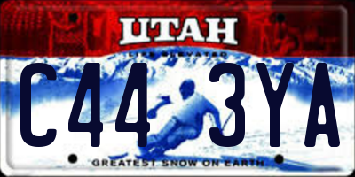 UT license plate C443YA