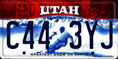 UT license plate C443YJ