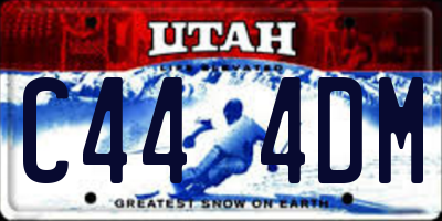 UT license plate C444DM