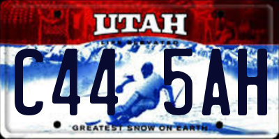 UT license plate C445AH