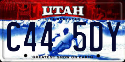 UT license plate C445DY
