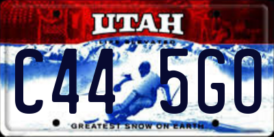 UT license plate C445GO