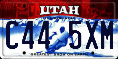 UT license plate C445XM