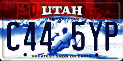 UT license plate C445YP