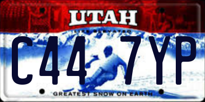 UT license plate C447YP