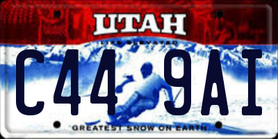 UT license plate C449AI