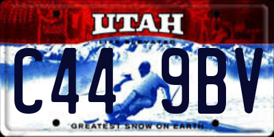 UT license plate C449BV