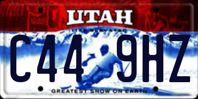 UT license plate C449HZ