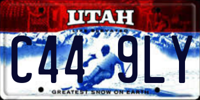 UT license plate C449LY