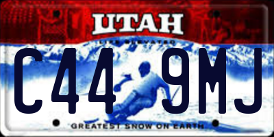 UT license plate C449MJ