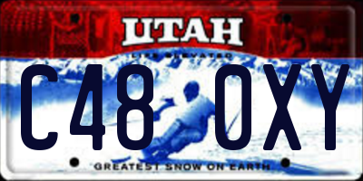 UT license plate C480XY