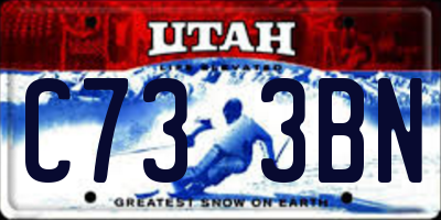 UT license plate C733BN