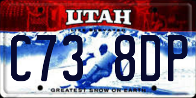 UT license plate C738DP