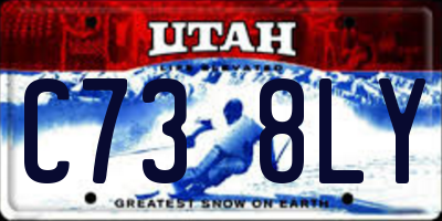 UT license plate C738LY