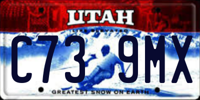 UT license plate C739MX