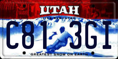 UT license plate C813GI