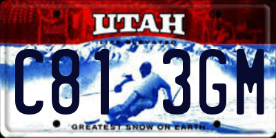UT license plate C813GM