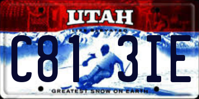 UT license plate C813IE