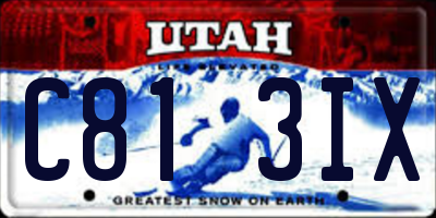 UT license plate C813IX