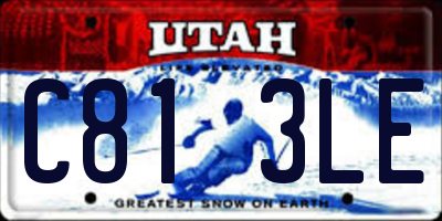 UT license plate C813LE