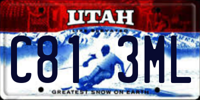 UT license plate C813ML