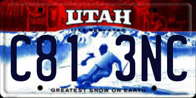 UT license plate C813NC