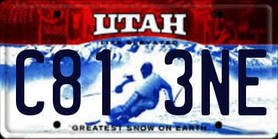 UT license plate C813NE
