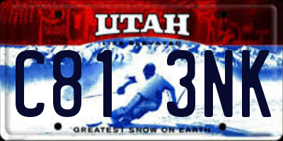 UT license plate C813NK