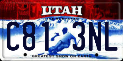 UT license plate C813NL
