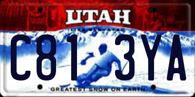 UT license plate C813YA