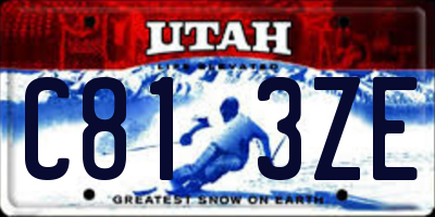 UT license plate C813ZE