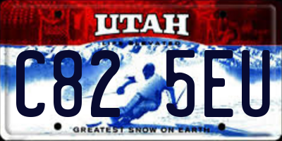 UT license plate C825EU
