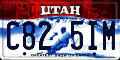 UT license plate C825IM