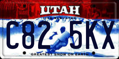 UT license plate C825KX