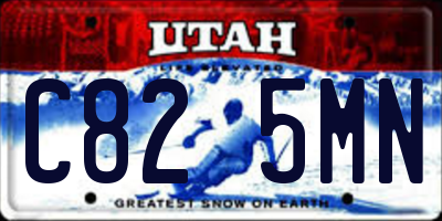 UT license plate C825MN