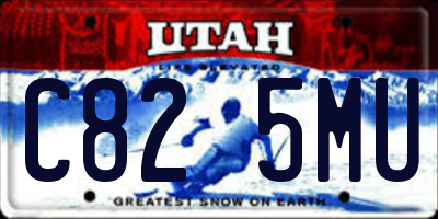UT license plate C825MU