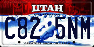 UT license plate C825NM