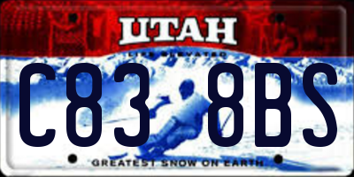UT license plate C838BS
