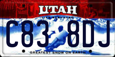 UT license plate C838DJ