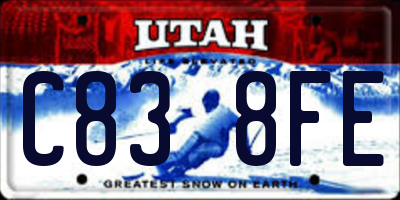 UT license plate C838FE
