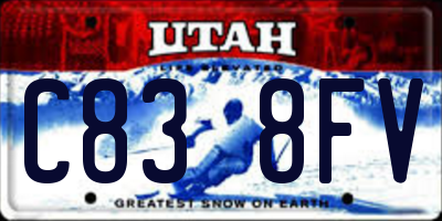 UT license plate C838FV