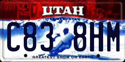 UT license plate C838HM