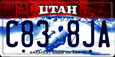 UT license plate C838JA