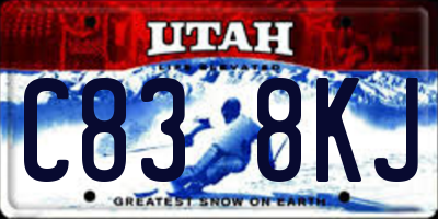 UT license plate C838KJ