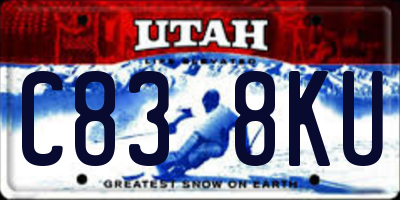 UT license plate C838KU