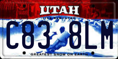 UT license plate C838LM