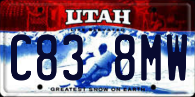 UT license plate C838MW