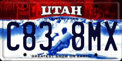 UT license plate C838MX