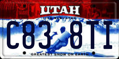 UT license plate C838TI