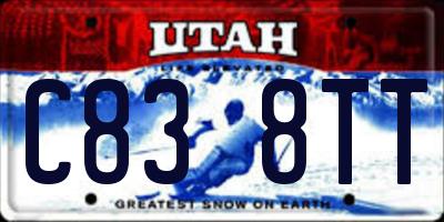 UT license plate C838TT